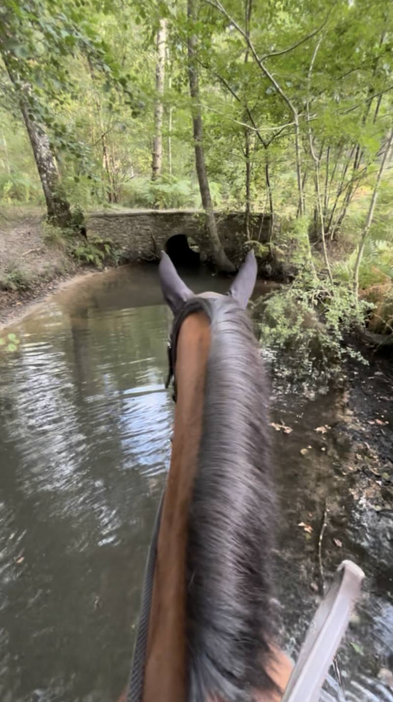 Passage à gué sous un petit pont de pierre en forêt