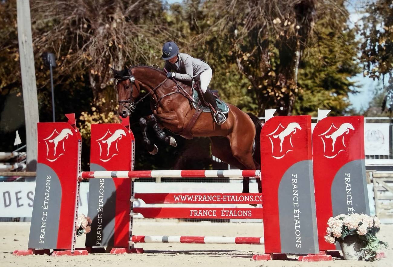 Caroline Chadelat en concours d’obstacles, sur un cheval bai
